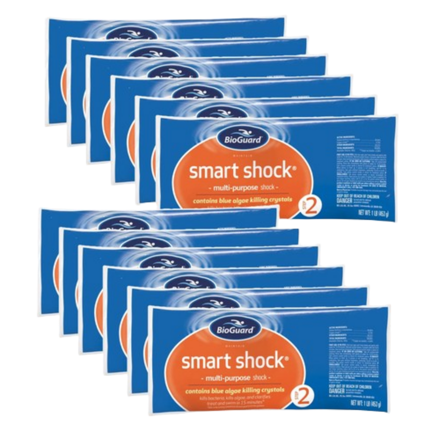 BioGuard Smart Shock - 12 x 1lb bags