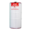100 Sq. Ft. Cartridge Filter